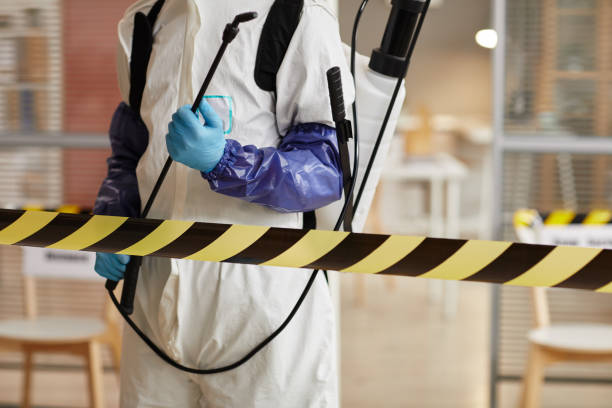 Professional Hoarding Cleanup technician working in Dania, FL